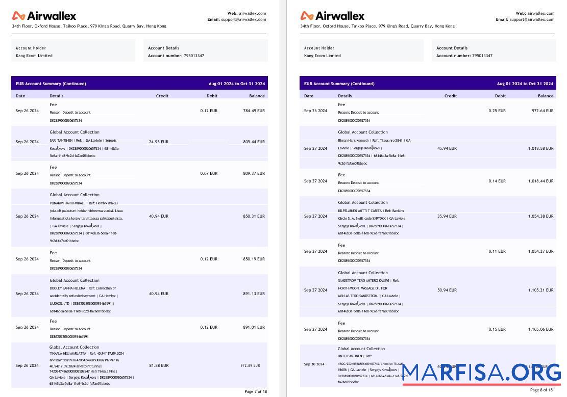 Realistic Hong Kong Airwallex Limited account statement word pages 4 example